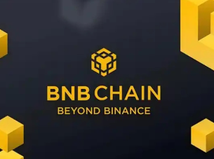 bi��app����