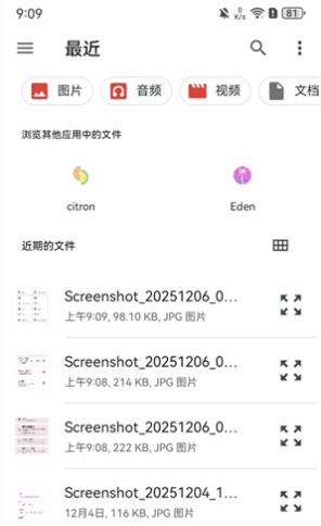 柠檬模拟器最新版本(citron) 柠檬模拟器最新版本(citron)