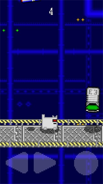 ����è�������°�