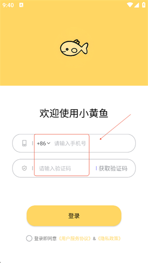 С����д��