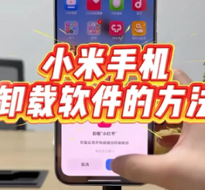 小米手机浏览器怎么卸载 小米手机浏览器卸载方法 小米手机浏览器怎么卸载 小米手机浏览器卸载方法