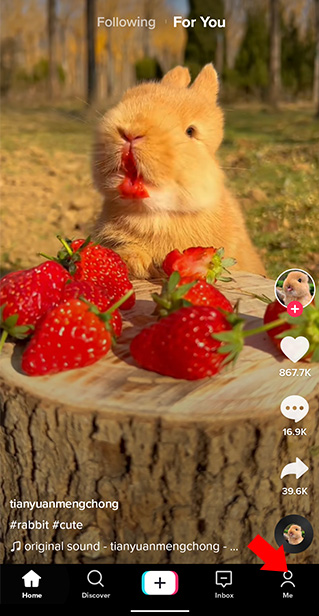 tiktok������Ѱ������