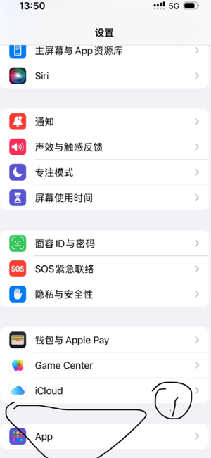 ƻ��΢����Ƶ����ͷ���˲���ʾ��ô�� ƻ��΢����Ƶ����ͷ���˲���ʾ�������