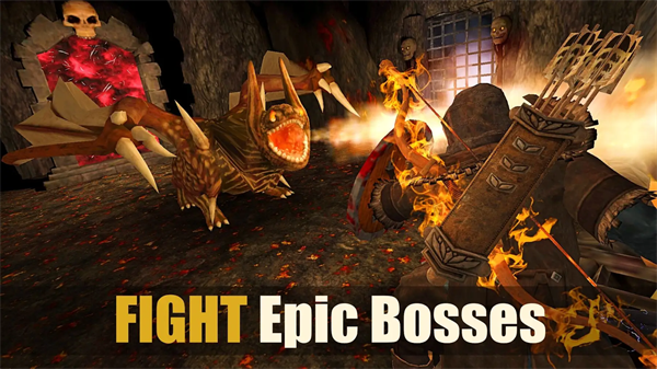 �����������°汾