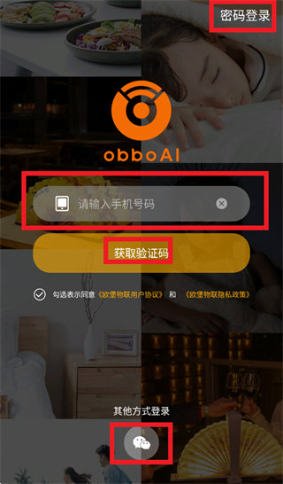 ŷ������app����