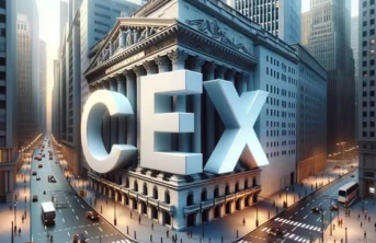 cexʮ�������������� cex��������������������