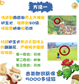 ���������ô�ľ����� ���������ô����������ֽ̳�