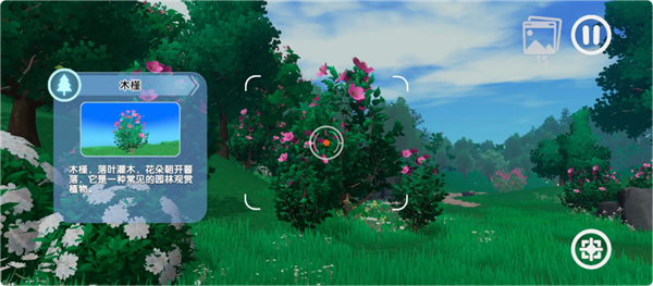 ����ֲ��԰�ٷ���