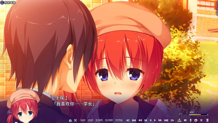 ����С��ֱװ��