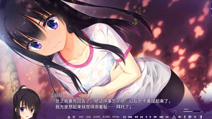 ����С��ֱװ��