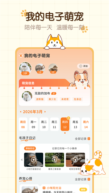 �����ȳ����°�