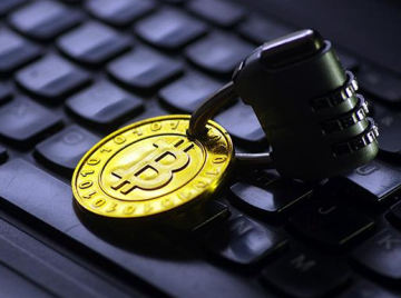 ���ڳ���ʮ����ƽ̨��2026����������