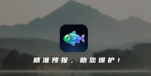 ������app���ذ�װ