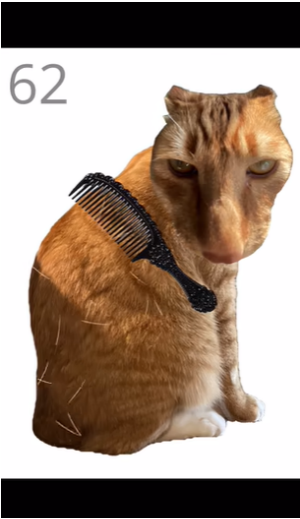 ��è��ë��Ϸ