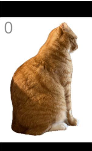 ��è��ë��Ϸ