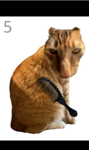 ��è��ë��Ϸ