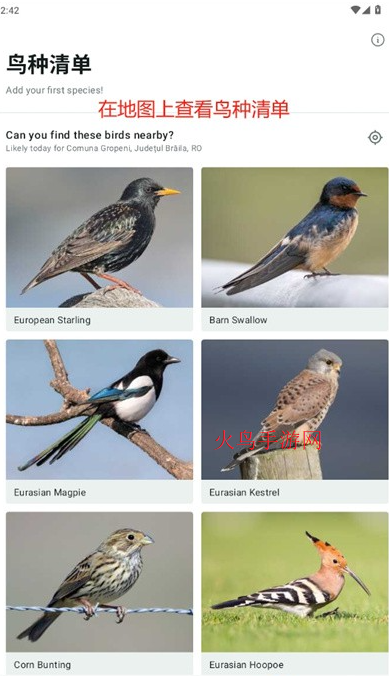 Merlin Bird ID��׿��