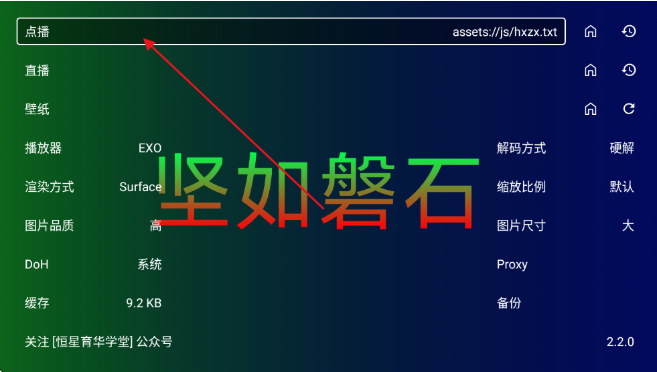 ������ʯtv������