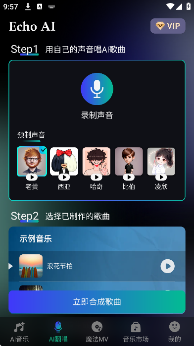 echoaiһ�������ֻ���