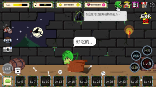 ʳ��ֲ���������°�