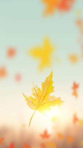 ��ҶƯ��ƿ���°�