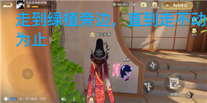 ������ҫũ����ʲô��� ������ҫũ���㽶�������ĸ������