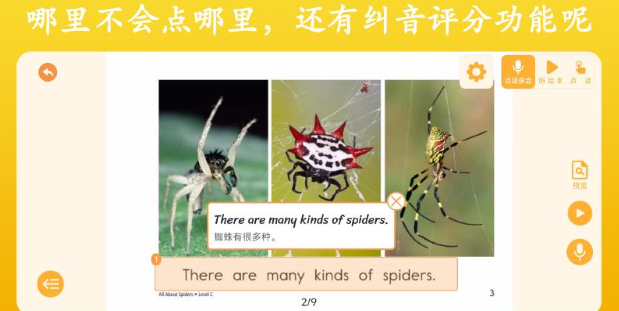 Ӣ�������ٷ���