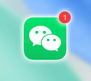 ����Ȧ�İ����� ����Ȧ�İ��ʲô����