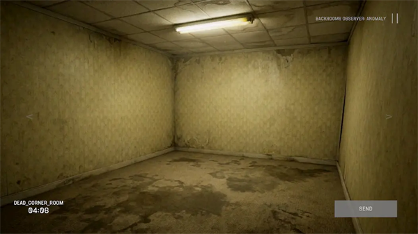 ���ҹ۲����쳣��Ϸ