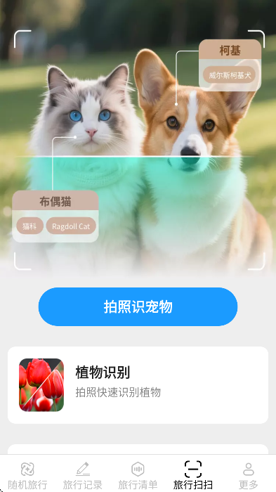 �ɶ����б�app��׿��