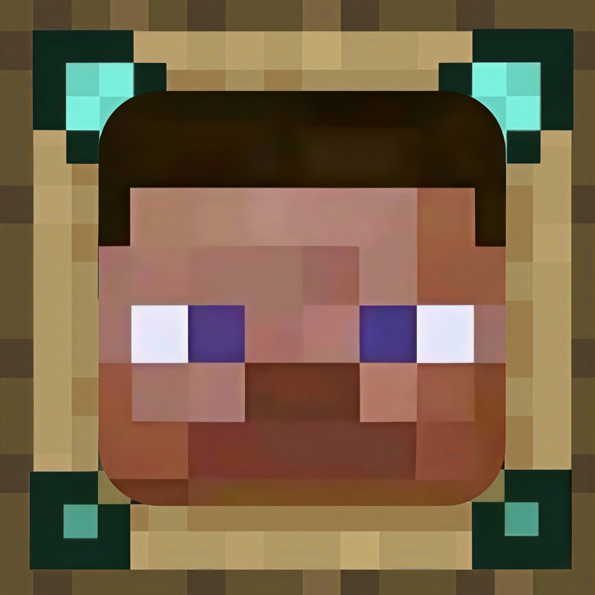 StevePluing�ٷ���������v1.0 ��׿��