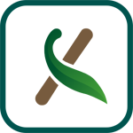 ����tv�����ٷ�����v20231201 ��׿��