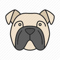 ��è����appv1.1 �ֻ���