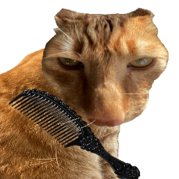 ��è��ë��Ϸv1.0 ��׿��