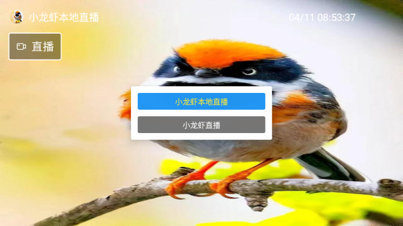 С��Ϻֱ��TV