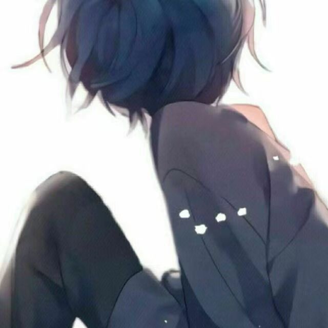 ����ֱװ2026���°�v12.0 ��׿��