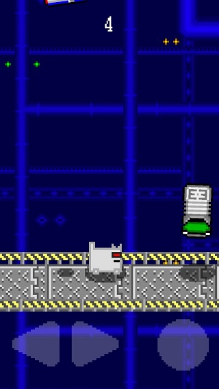 ����è�������°�v1.1.0 ��׿��