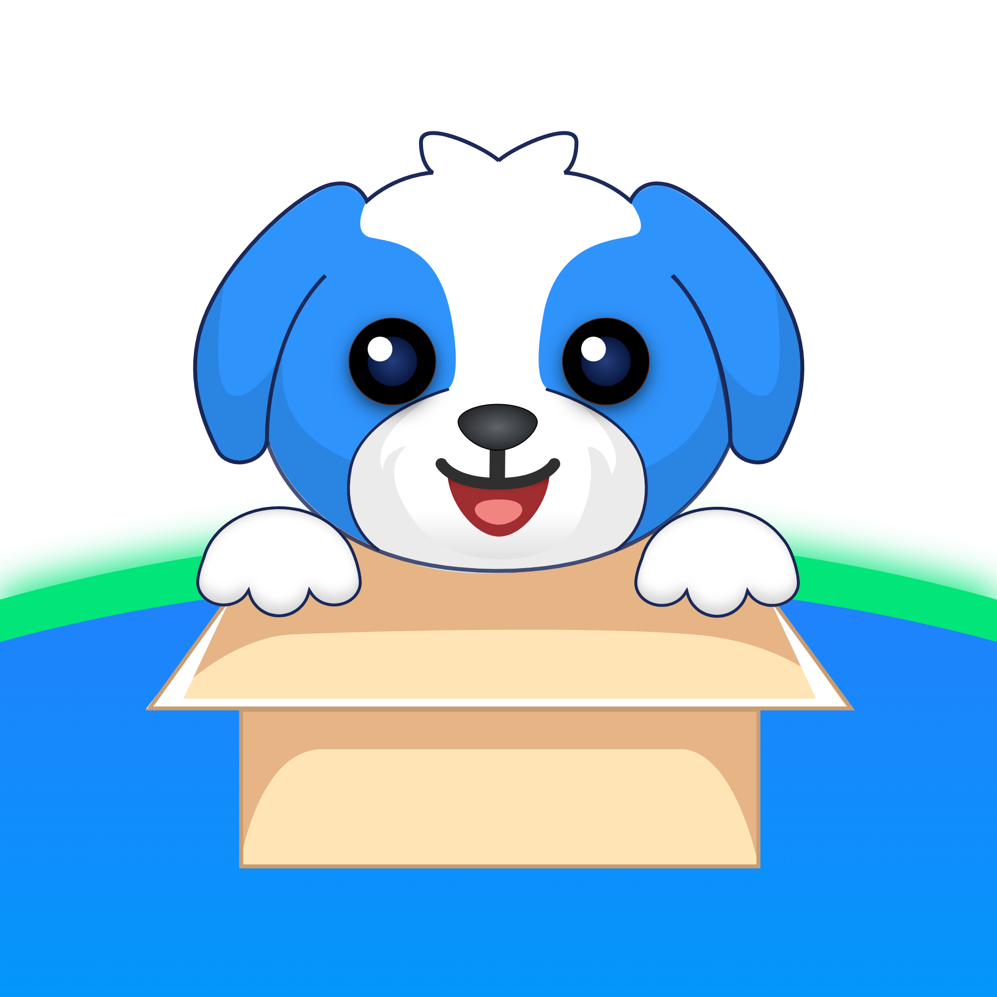 �ʹﹷ���°汾v3.0.4 �ٷ���