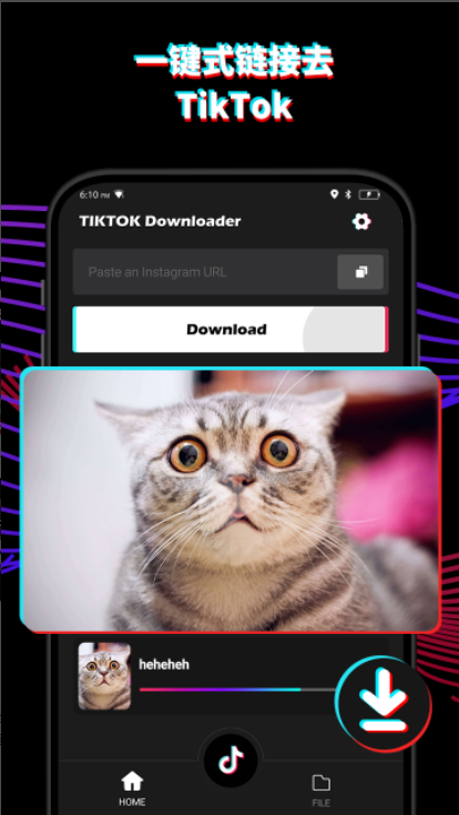 TikTok���޵�¼��v44.8.42 ���°�