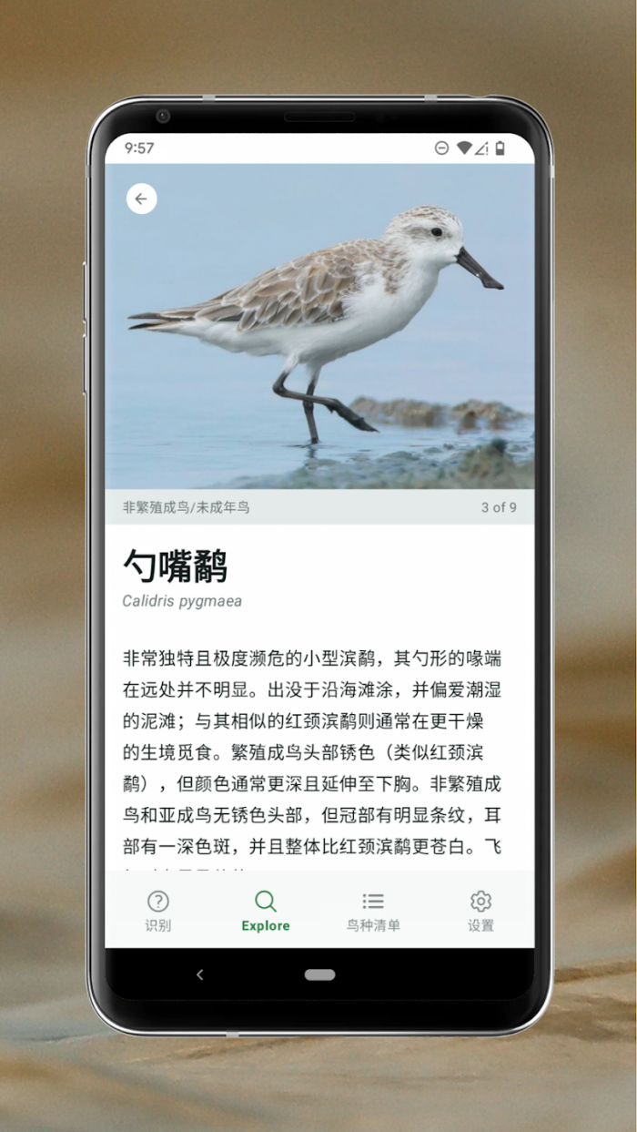 Merlin Bird ID��׿��v3.11 �ֻ���