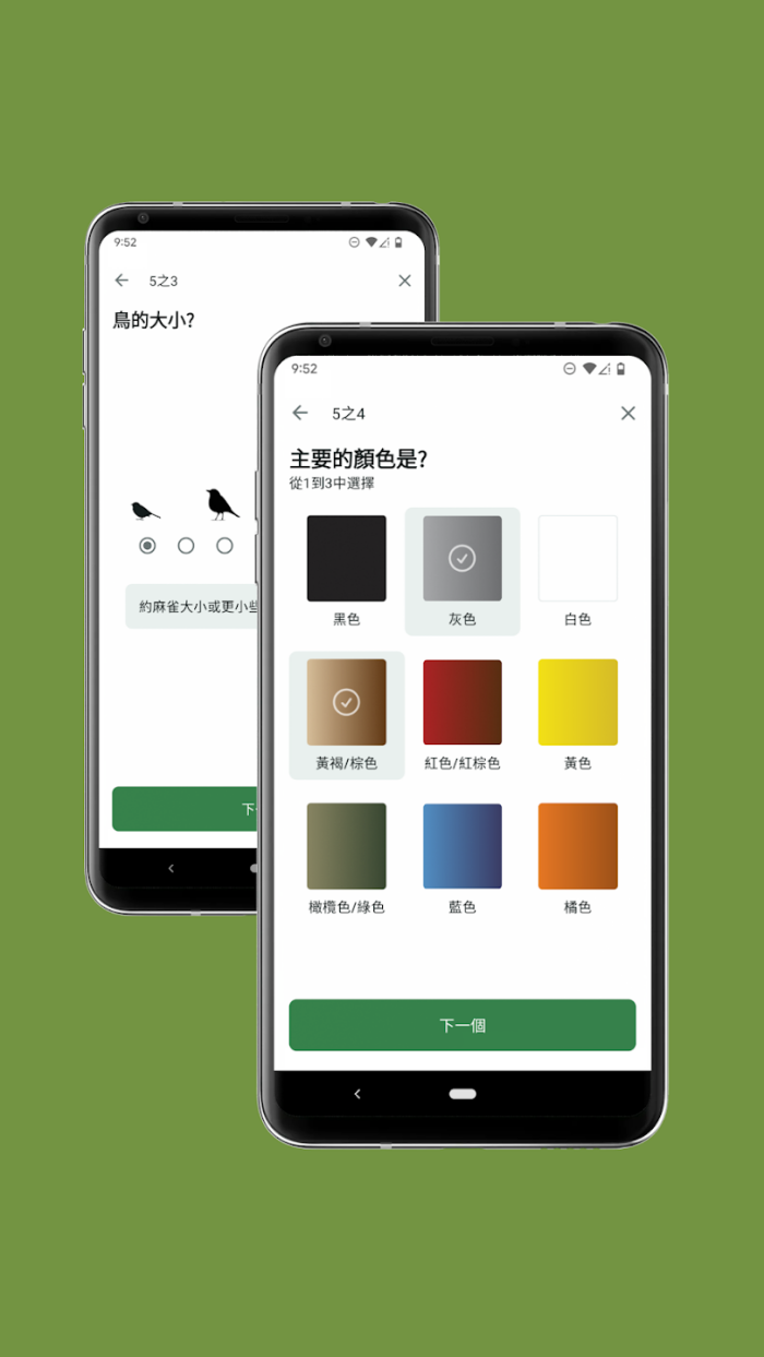 Merlin Bird ID��׿��v3.11 �ֻ���