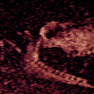 ������Ϸv1.11 ��׿��