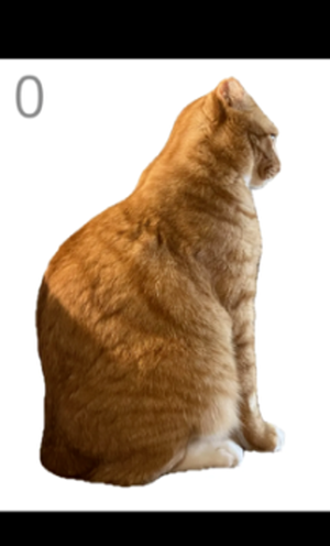 ��è��ë��Ϸv1.0 ��׿��