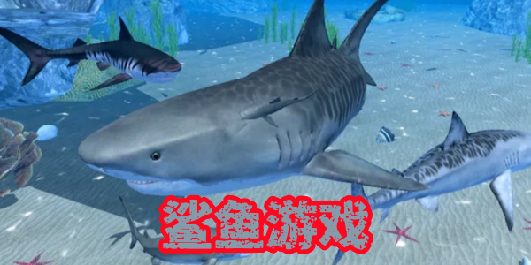 ������Ϸ