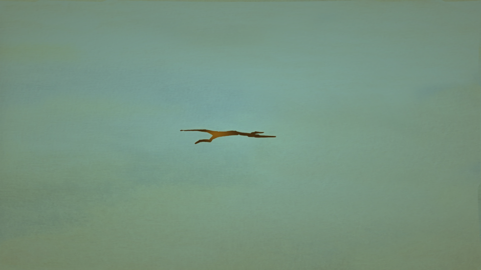 LightCatcher׷����v0.2.1 ���°�