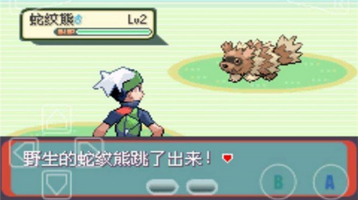 �ڴ�����ȼ���̱�ʯ�Դ��޸���(�ڴ�����ȼ���̱�ʯ(�뺺��))v1.0 ��׿��