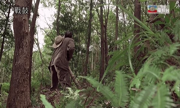 ���ɿտ�app�ϰ汾v9.0.8 ��׿��