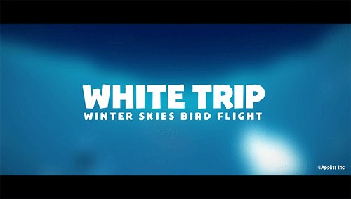 whitetrip���ذ�װ���°�(����֮��)v1.9 �ֻ���