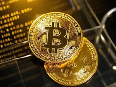 ����app����Щ 2026����ƽ̨app�ĸ����
