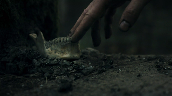 ������ֻ���v1.2 ��׿��